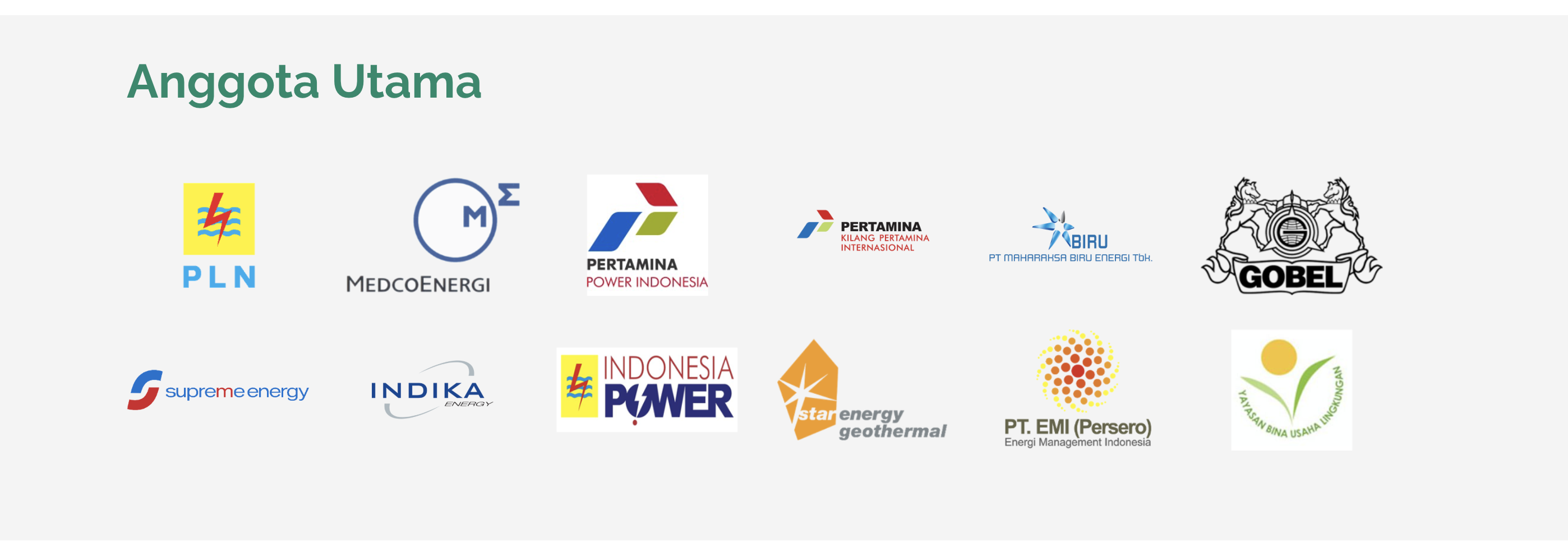 Logo Anggota Utama METI